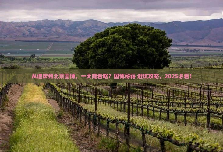 迪庆去北京中国国家博物馆一日游