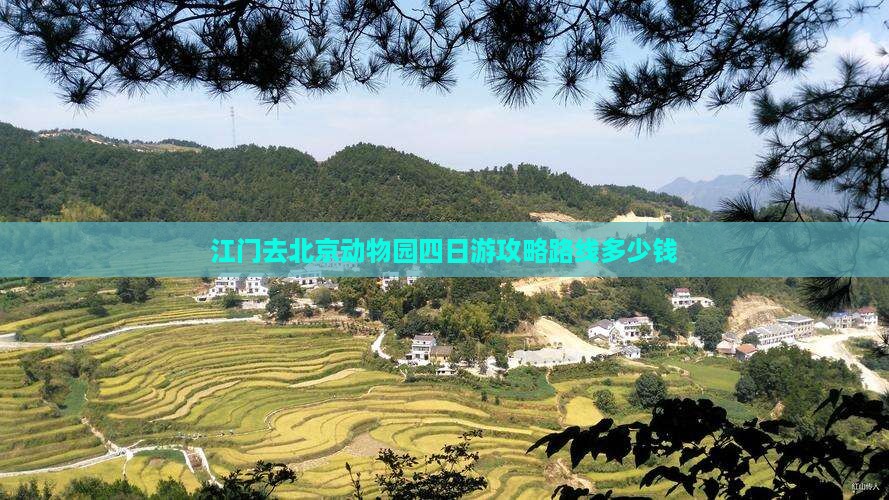 江门去北京动物园四日游