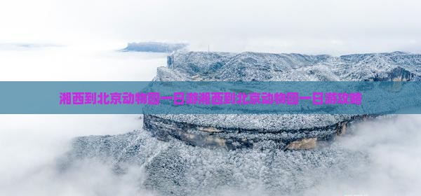 湘西到北京动物园一日游