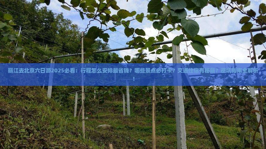 丽江去北京六日游 丽江去北京六日游