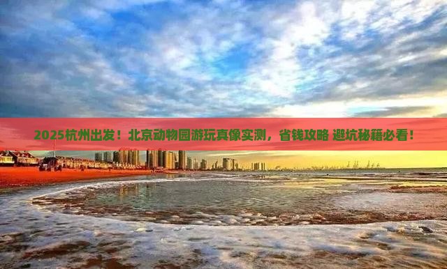 杭州去北京动物园攻略