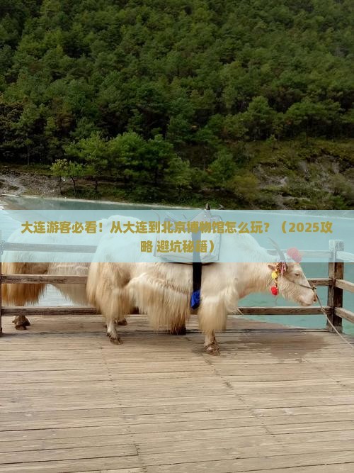 大连到北京中国国家博物馆景点