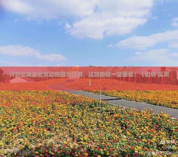 开封去北京动物园六日游