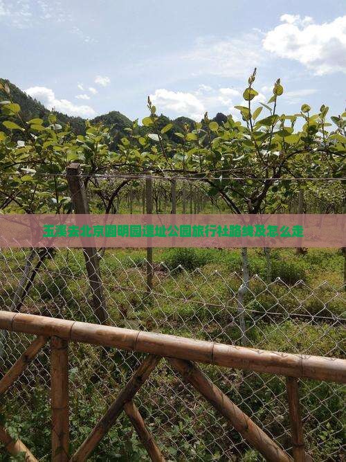 玉溪去北京圆明园遗址公园旅行社