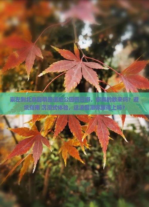 崇左到北京圆明园遗址公园四日游