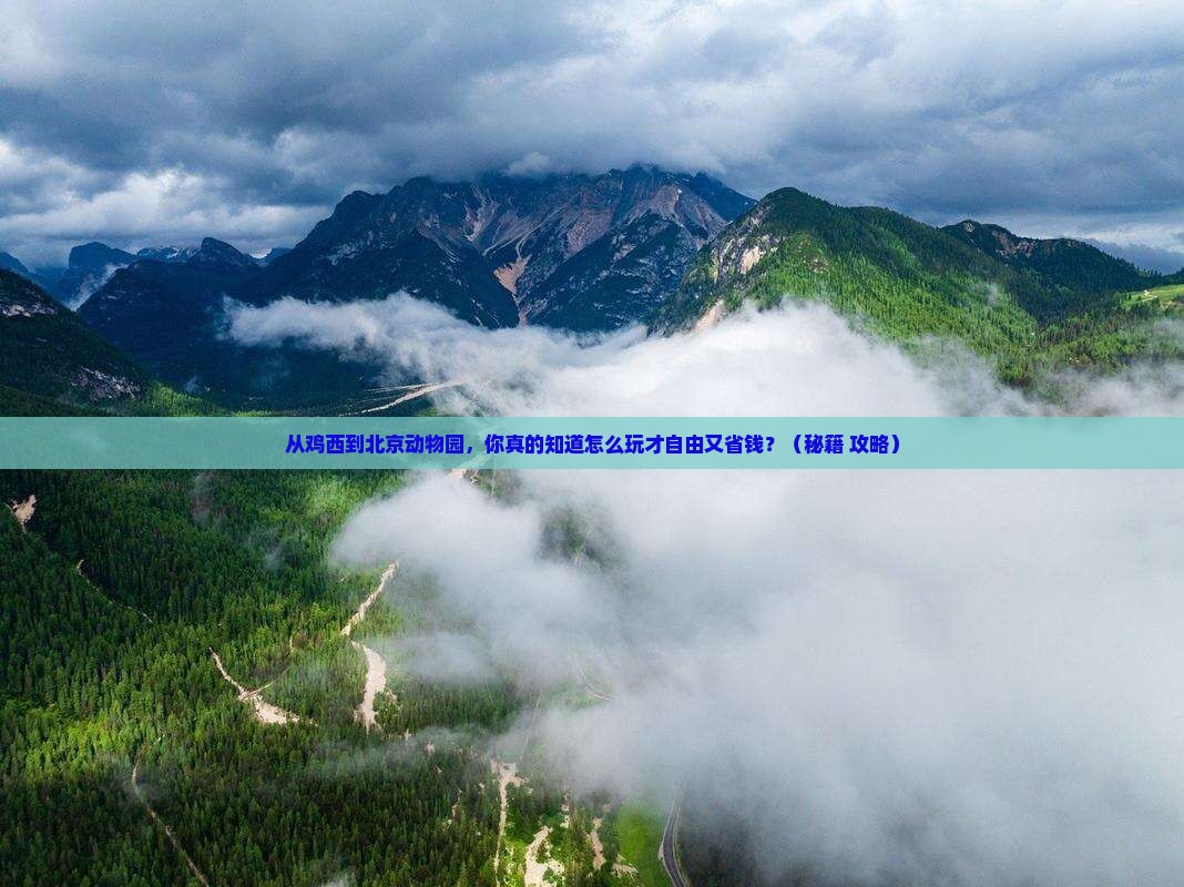 鸡西去北京动物园自由行 鸡西去北京动物园自由行