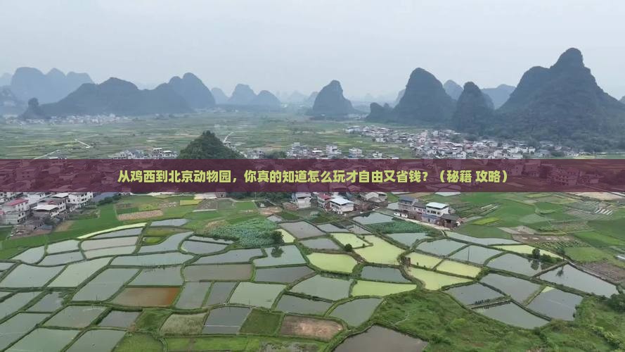 鸡西去北京动物园自由行 鸡西去北京动物园自由行