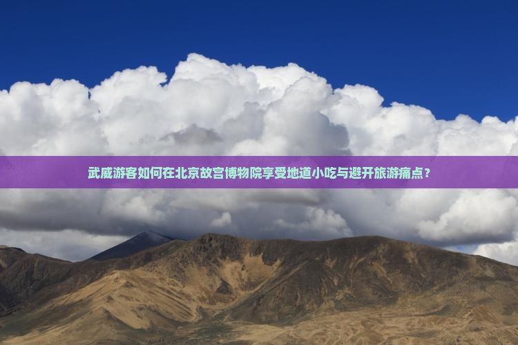 武威游客如何在北京故宫博物院享受地道小吃与避开旅游痛点？