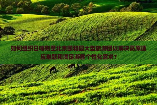 如何组织日喀则至北京颐和园大型旅游团以解决高原适应难题和满足游客个性化需求？