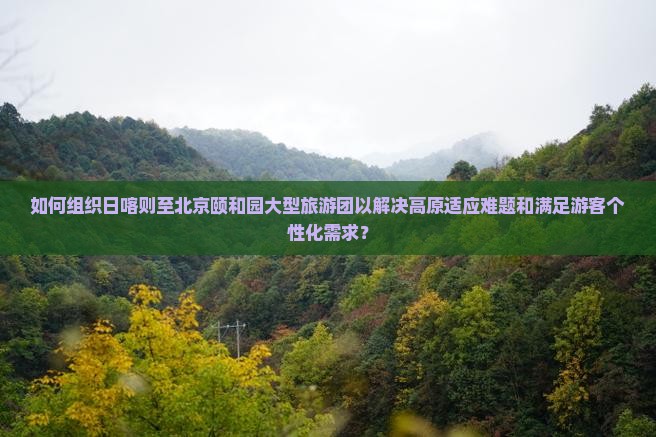 如何组织日喀则至北京颐和园大型旅游团以解决高原适应难题和满足游客个性化需求？