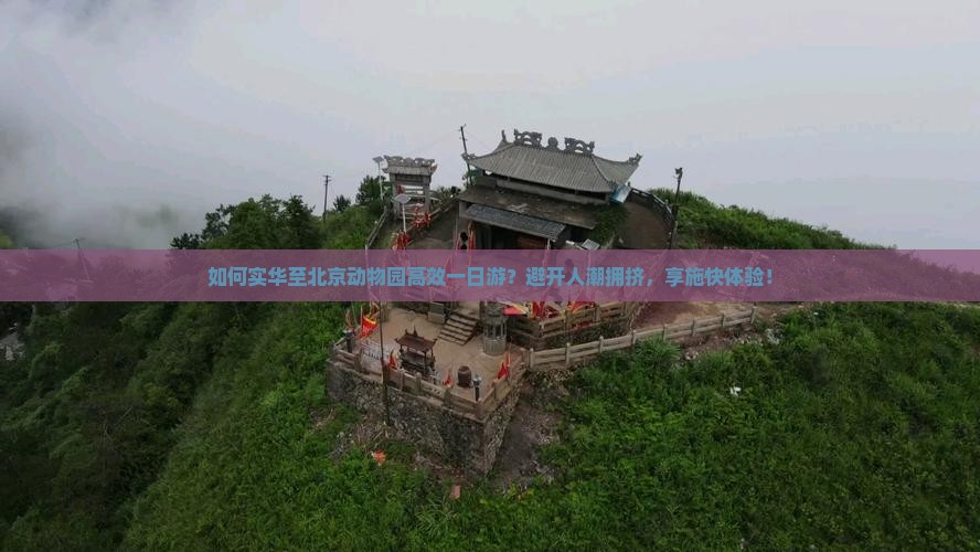 如何实华至北京动物园高效一日游？避开人潮拥挤，享施快体验！