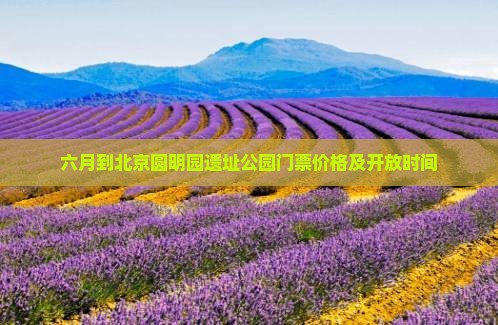 六月到北京圆明园遗址公园门票价格及开放时间