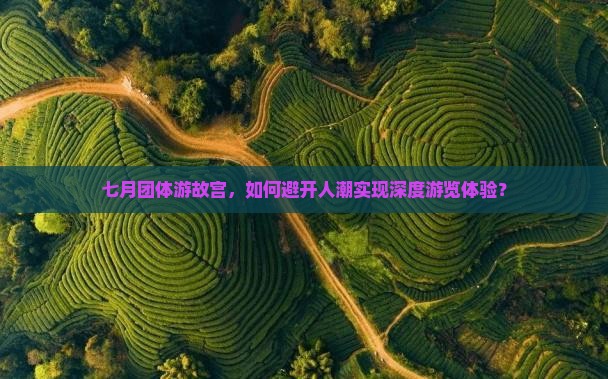 七月团体游故宫，如何避开人潮实现深度游览体验？