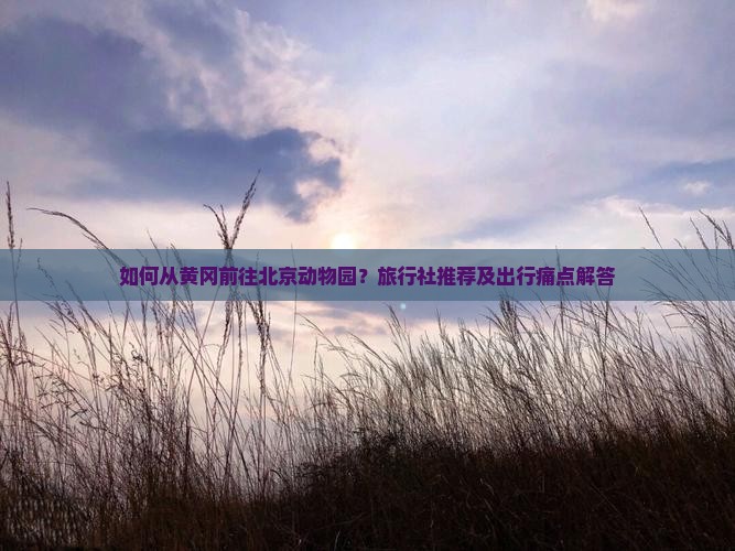 如何从黄冈前往北京动物园？旅行社推荐及出行痛点解答