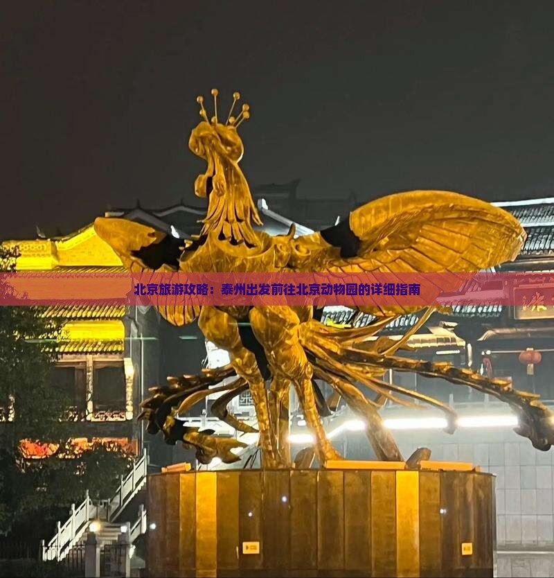 北京旅游攻略：泰州出发前往北京动物园的详细指南