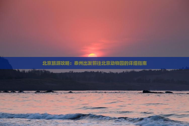 北京旅游攻略：泰州出发前往北京动物园的详细指南