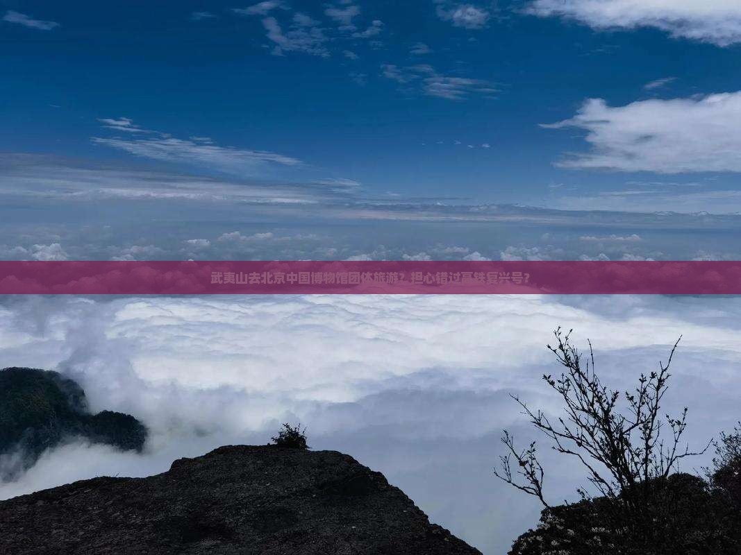 武夷山去北京中国博物馆团体旅游？担心错过高铁复兴号？