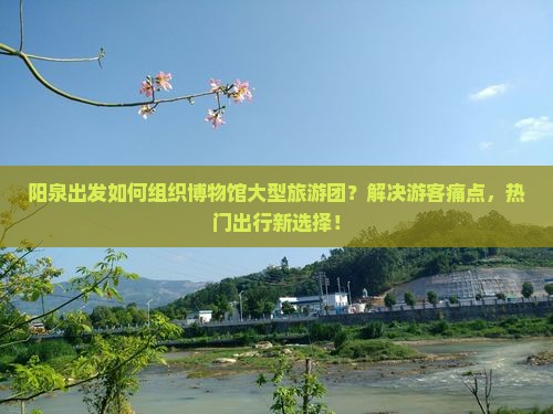 阳泉出发如何组织博物馆大型旅游团？解决游客痛点，热门出行新选择！