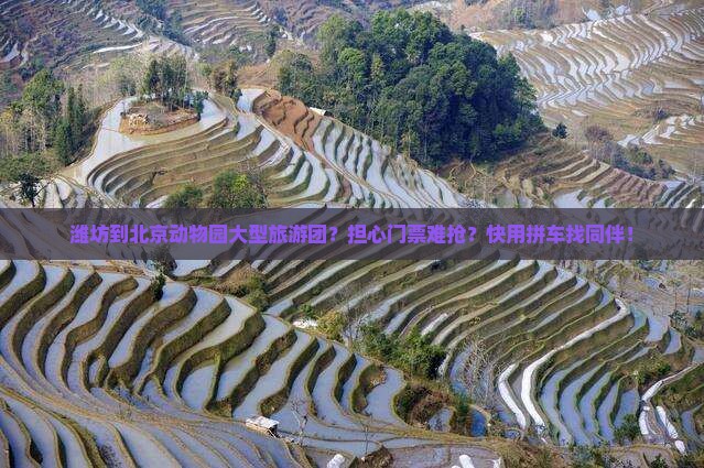 潍坊到北京动物园大型旅游团？担心门票难抢？快用拼车找同伴！