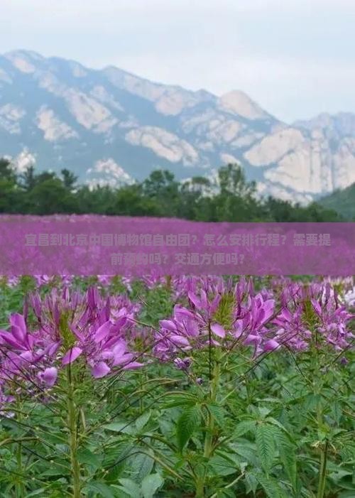 宜昌到北京中国博物馆自由团？怎么安排行程？需要提前预约吗？交通方便吗？