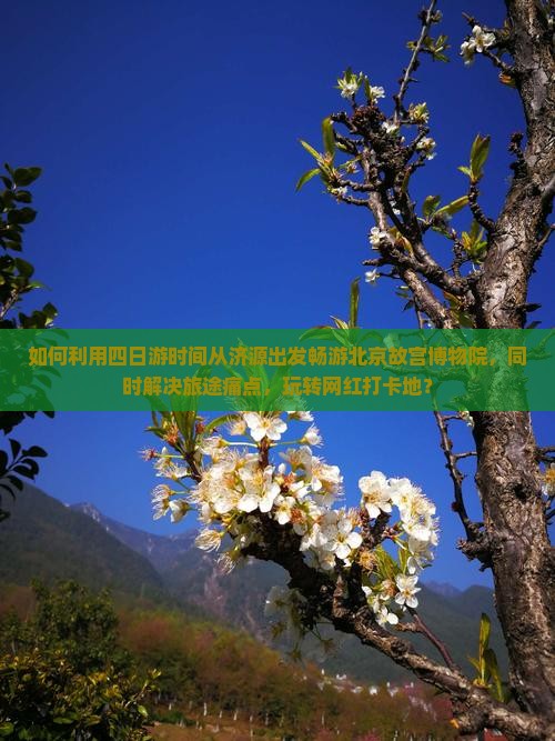 如何利用四日游时间从济源出发畅游北京故宫博物院，同时解决旅途痛点，玩转网红打卡地？