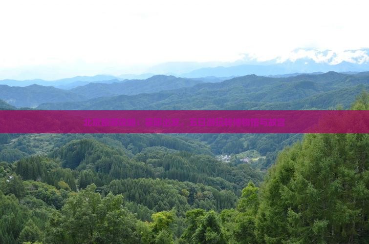 北京旅游攻略：霍邱出发，五日游玩转博物馆与故宫