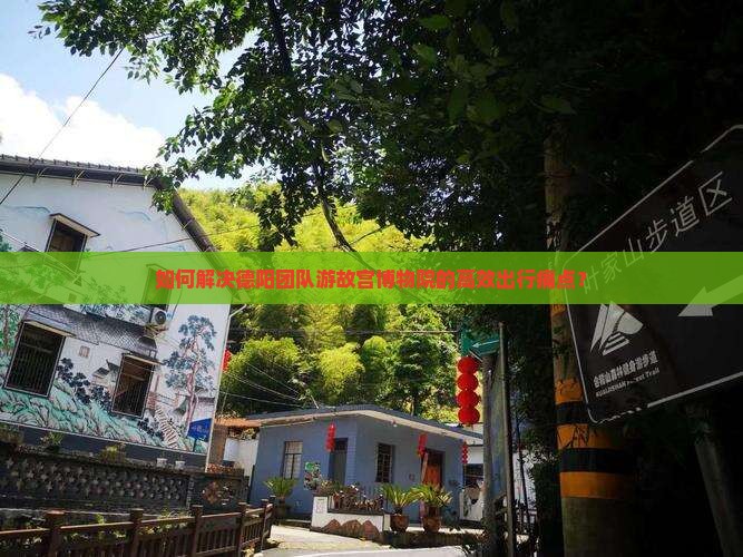 如何解决德阳团队游故宫博物院的高效出行痛点？
