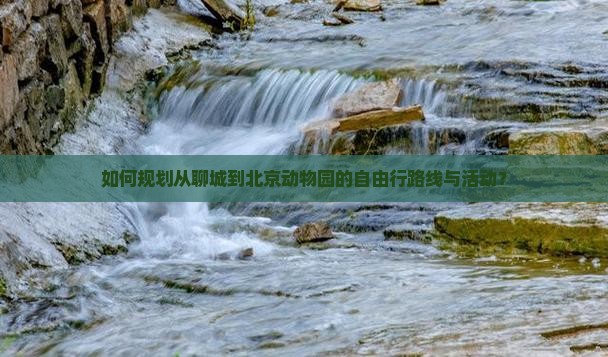 如何规划从聊城到北京动物园的自由行路线与活动？