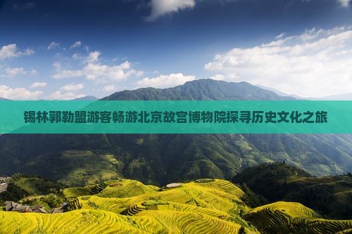 锡林郭勒盟游客畅游北京故宫博物院探寻历史文化之旅