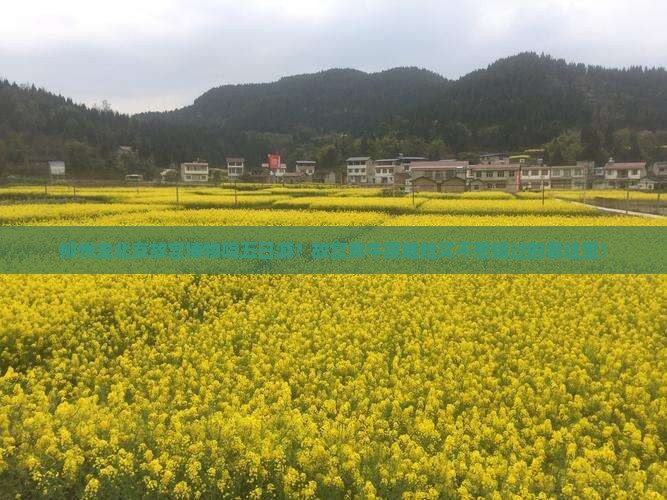 柳州去北京故宫博物院五日游？故宫黄牛票难抢又不想错过的看这里！