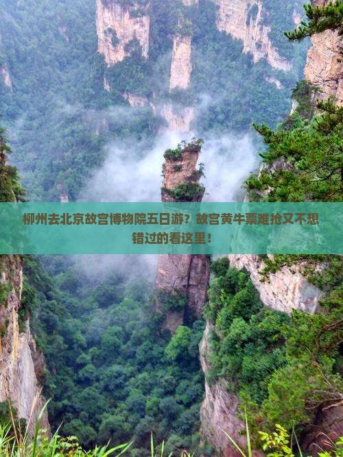 柳州去北京故宫博物院五日游？故宫黄牛票难抢又不想错过的看这里！