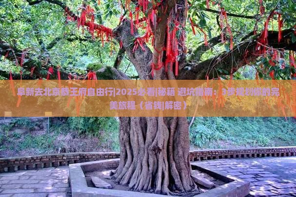 阜新去北京恭王府自由行