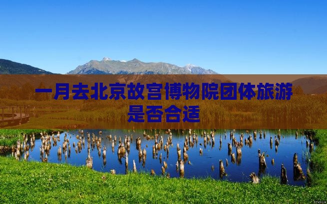 一月去北京故宫博物院团体旅游