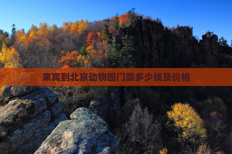 来宾到北京动物园门票