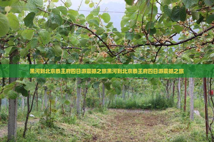 黑河到北京恭王府四日游