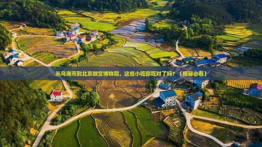 乌海市到北京故宫博物院旅游小吃