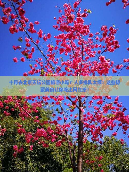 十月去北京天坛公园旅游小吃