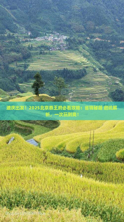 迪庆去北京恭王府攻略