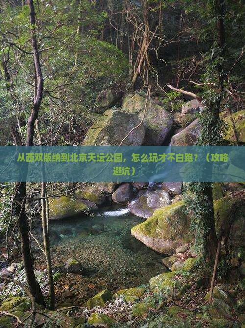 西双版纳去北京天坛公园哪里玩
