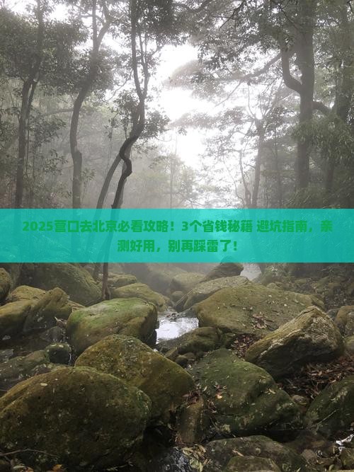 营口去北京旅行社