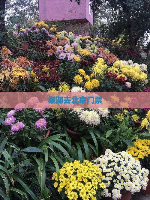 巢湖去北京门票