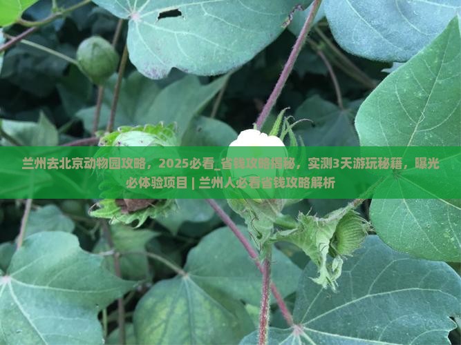 兰州去北京动物园攻略