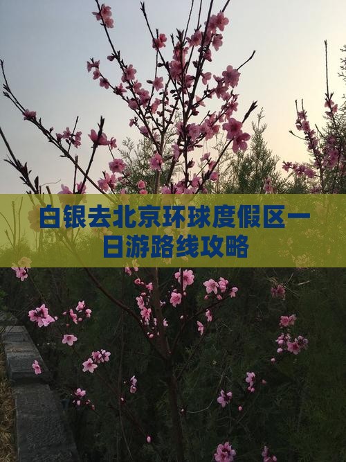 白银去北京环球度假区一日游
