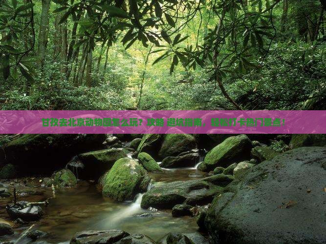 甘孜去北京动物园哪里玩