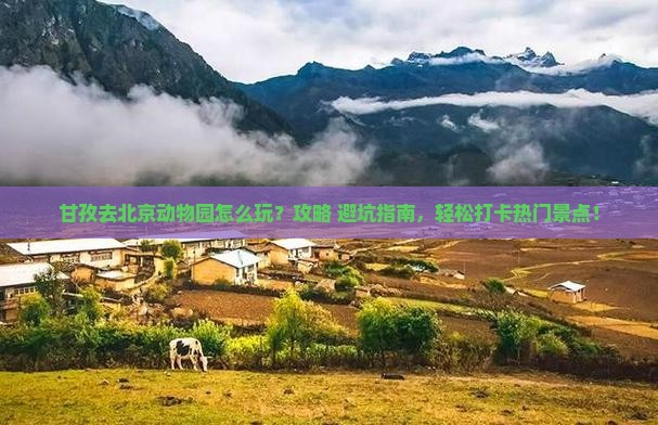 甘孜去北京动物园哪里玩
