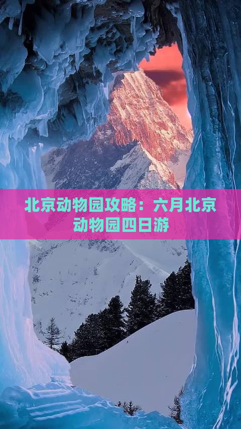 六月到北京动物园四日游
