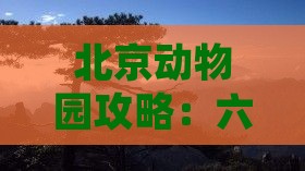 六月到北京动物园四日游