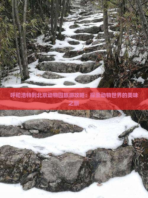 呼和浩特到北京动物园旅游小吃