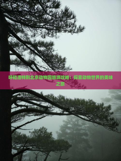 呼和浩特到北京动物园旅游小吃