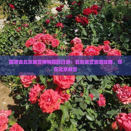 固原去北京故宫博物院四日游